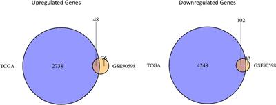 Identification of Core Genes and Screening of Potential Targets in Glioblastoma Multiforme by Integrated Bioinformatic Analysis